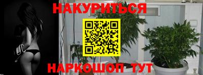 прущие крисы Ставрополь
