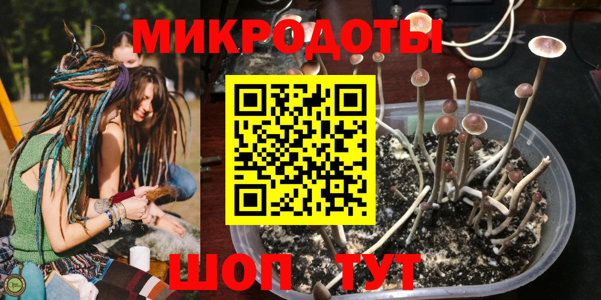 Псилоцибиновые грибы Psilocybine cubensis Ревда