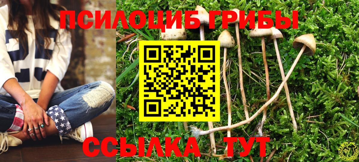 Псилоцибиновые грибы Psilocybine cubensis  Вход с VPN  Ревда 