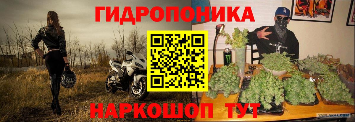 Каннабис OG Kush Ревда